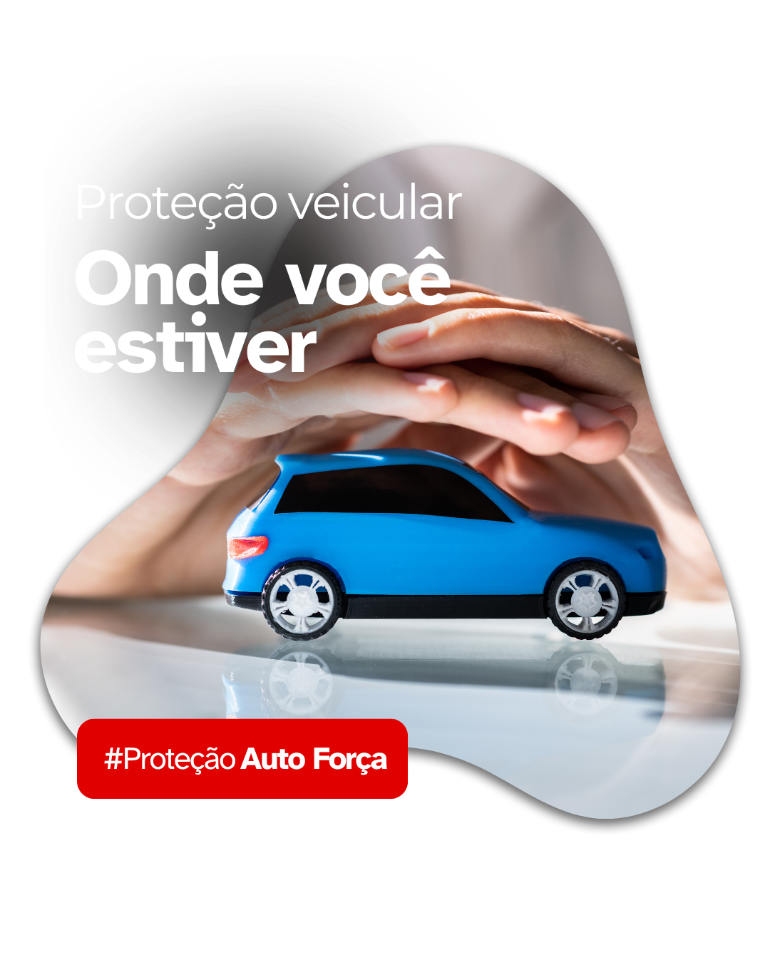 Auto Força (5)